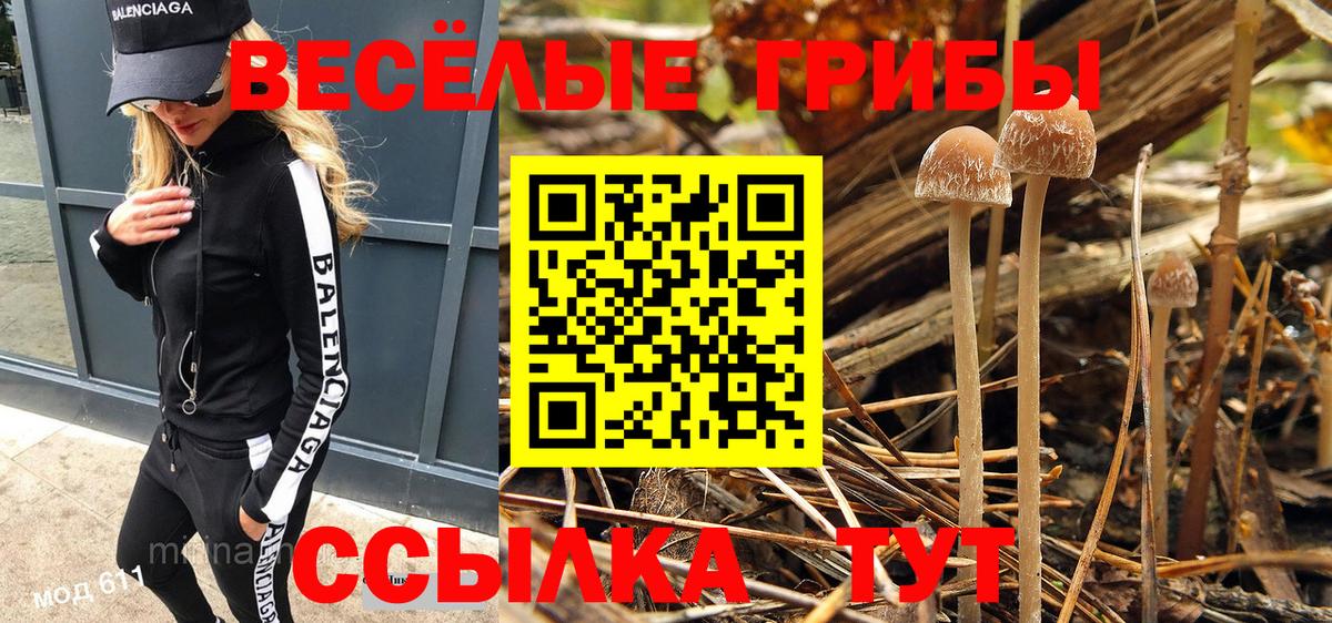 Галлюциногенные грибы Psilocybine cubensis Люберцы