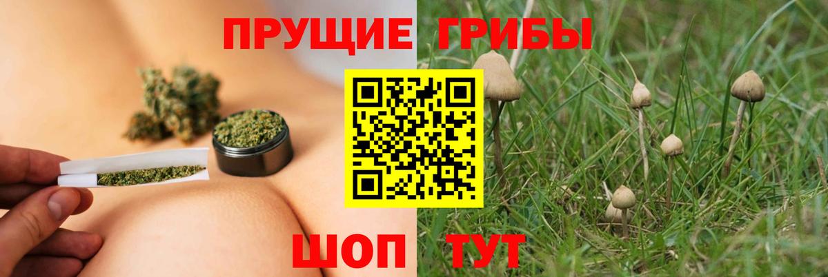 Псилоцибиновые грибы Cubensis  Вход с VPN  Люберцы 